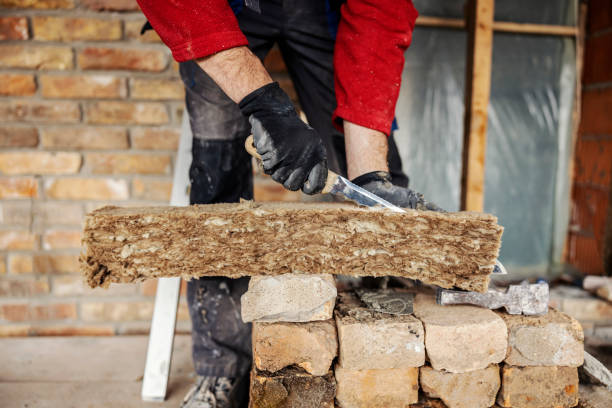 Best Attic Insulation Installation  in New Orleans, LA